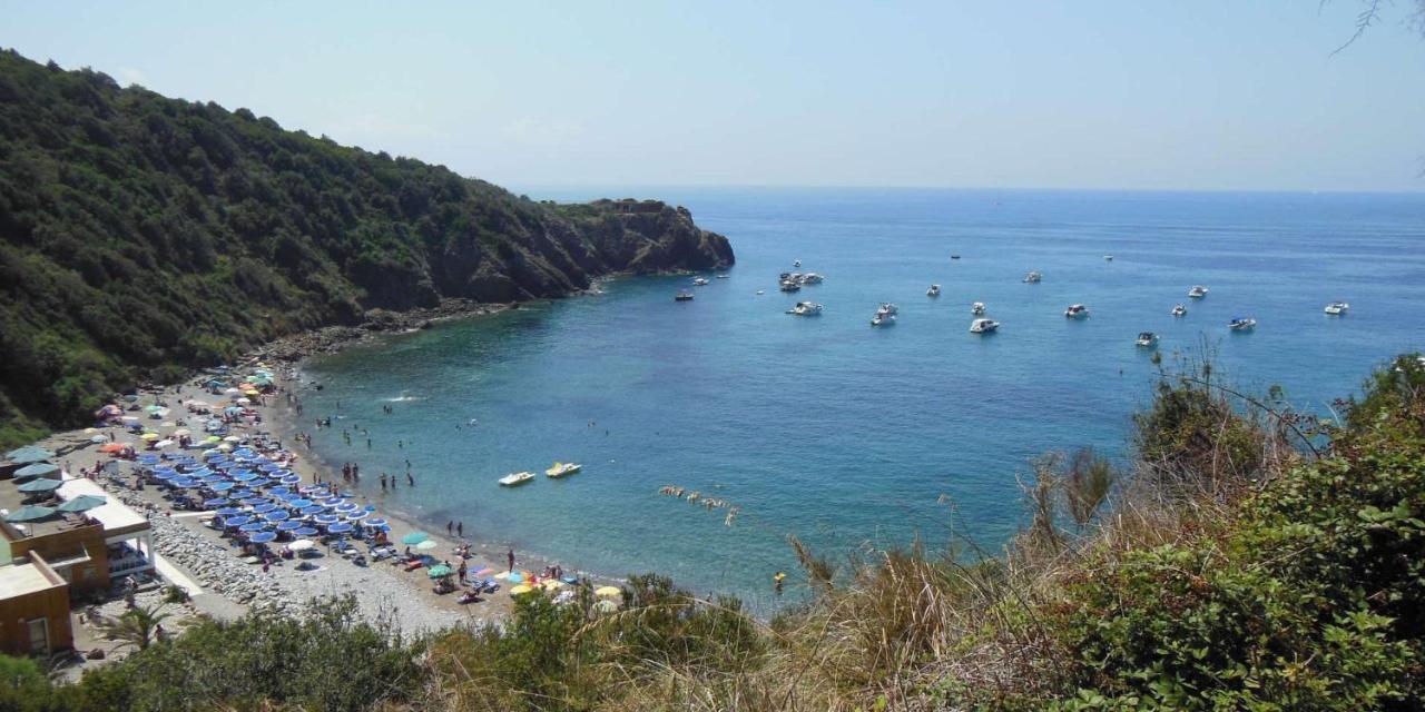 Appartamenti Tra Cielo E Mare Πιομπίνο Εξωτερικό φωτογραφία